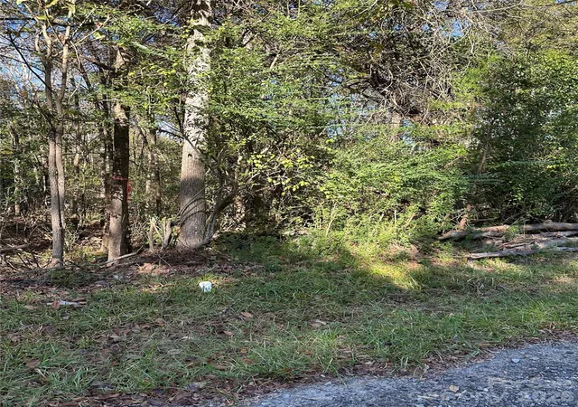 Photo 4 of Land for sale at 1136 Joe Louis Blvd, Rock Hill, SC 29730 | MLS# 4437496 | Listing updated on 2026-10-28