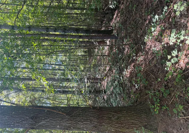 Photo 1 of Land for sale at 000 Old Neal Rd, Marion, NC 28752 | MLS# 4437541 | Listing updated on 2026-10-28
