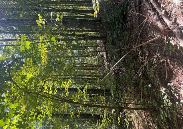 Photo 2 of Land for sale at 000 Old Neal Rd, Marion, NC 28752 | MLS# 4437541 | Listing updated on 2026-10-28