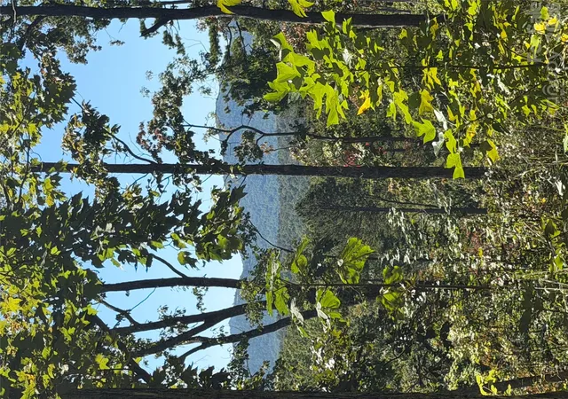 Photo 3 of Land for sale at 000 Old Neal Rd, Marion, NC 28752 | MLS# 4437541 | Listing updated on 2026-10-28