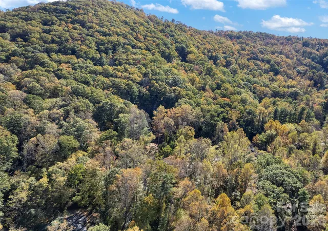 Photo 4 of Single family home for sale at 11 Cedar Mountain Rd, Asheville, NC 28803 | MLS# 4437551 | Listing updated on 2026-10-28