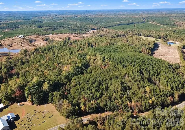 Photo 2 of Land for sale at 00 Legion Rd, Smyrna, SC 29743 | MLS# 4437850 | Listing updated on 2026-10-26