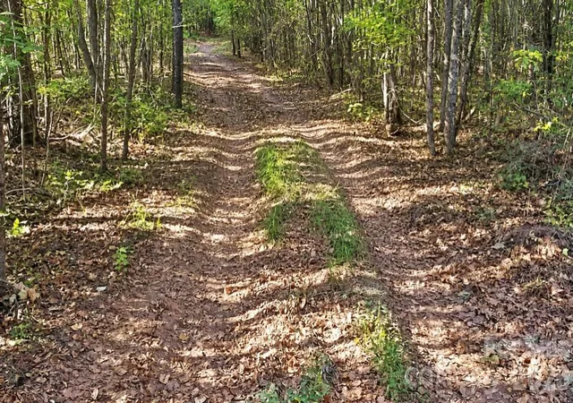 Photo 3 of Land for sale at 00 Legion Rd, Smyrna, SC 29743 | MLS# 4437850 | Listing updated on 2026-10-26