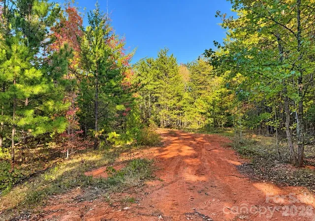 Photo 3 of Land for sale at 00 Legion Rd, Smyrna, SC 29743 | MLS# 4437850 | Listing updated on 2026-10-26