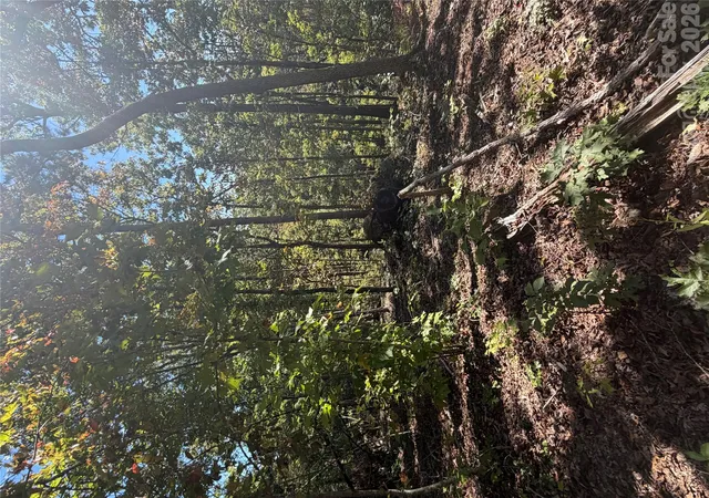 Photo 4 of Land for sale at 1202 Old Neal Rd #1, Marion, NC 28752 | MLS# 4438000 | Listing updated on 2026-10-28