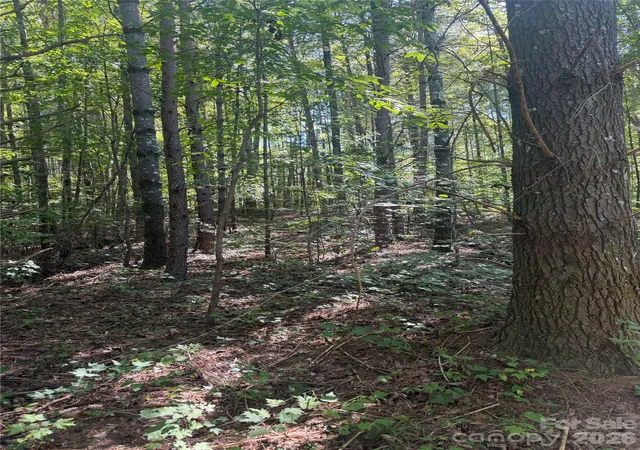 Photo 3 of Land for sale at 1310 Old Neal Rd #3, Marion, NC 28752 | MLS# 4438080 | Listing updated on 2026-10-28
