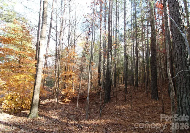 Photo 4 of Land for sale at 5 +/-ac Bookout Rd, Rock Hill, SC 29730 | MLS# 4438448 | Listing updated on 2026-10-27