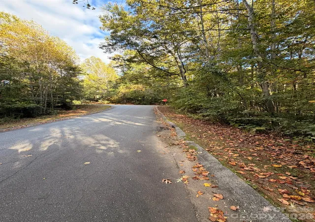 Land for sale at 00 Charlotte Ann Ln #34, Hickory, NC 28601 | MLS# 4438676