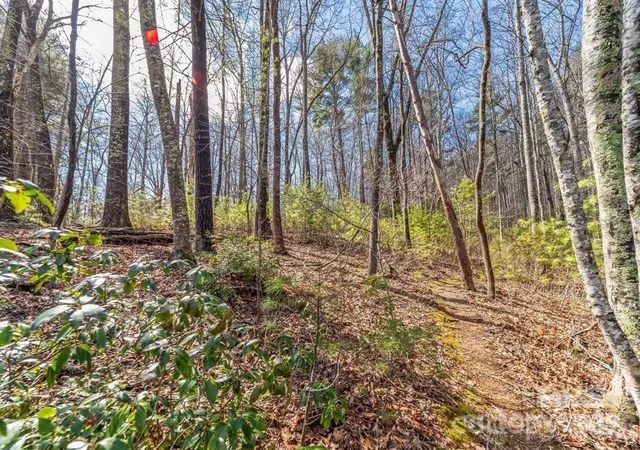Photo 1 of Land for sale at 99999 Mill Rd, Asheville, NC 28805 | MLS# 4438678 | Listing updated on 2026-10-28