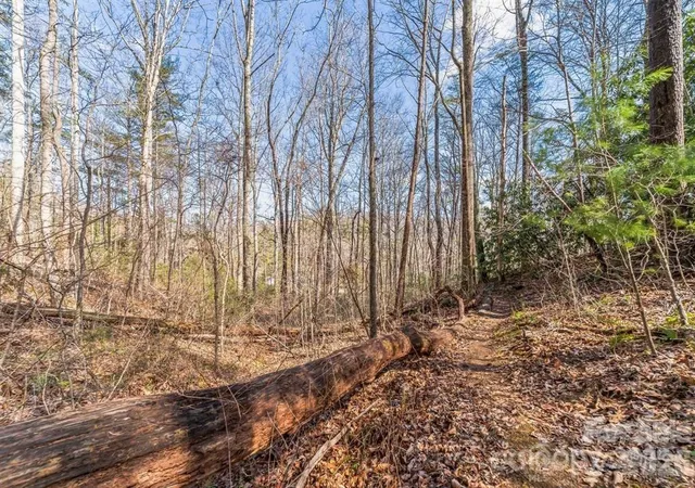 Photo 4 of Land for sale at 99999 Mill Rd, Asheville, NC 28805 | MLS# 4438678 | Listing updated on 2026-10-28