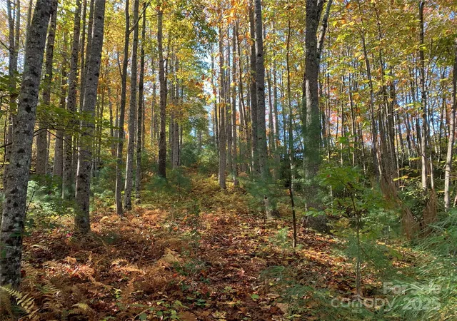 1st image of Lot# 556 Timber Rock Dr #556, Lenoir, NC 28645 | MLS# 3453585