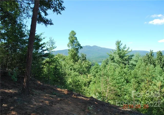 2nd image of 675 Harborside Dr #238 & 238A, Nebo, NC 28761 | MLS# 3499143