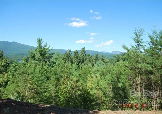 3rd image of 675 Harborside Dr #238 & 238A, Nebo, NC 28761 | MLS# 3499143