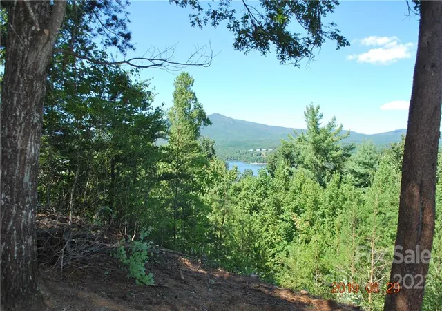 4th image of 675 Harborside Dr #238 & 238A, Nebo, NC 28761 | MLS# 3499143
