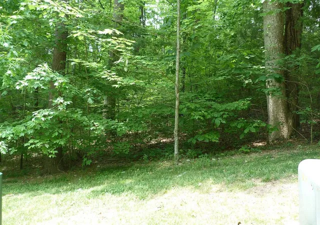 3rd image of 201 Bent Pine Tr #180, Hendersonville, NC 28739 | MLS# 3502958