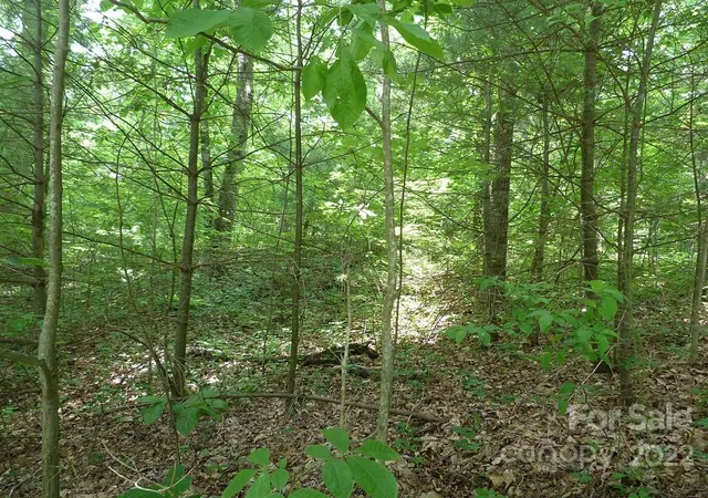 5th image of 201 Bent Pine Tr #180, Hendersonville, NC 28739 | MLS# 3502958