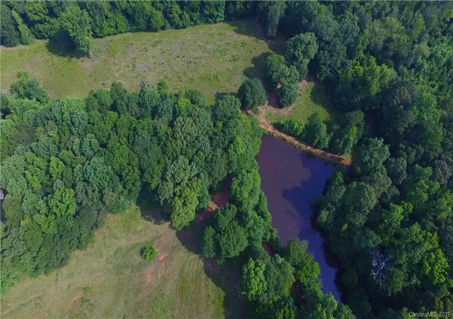 45th image of 10822 Pettus Farm Rd, Fort Mill, SC 29707 | MLS# 3519599