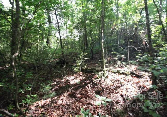 Homes for sale in Brevard, NC | Lot 19 Gastons Bee Gum Rd #19, Brevard, NC 28712 | MLS# 3531064