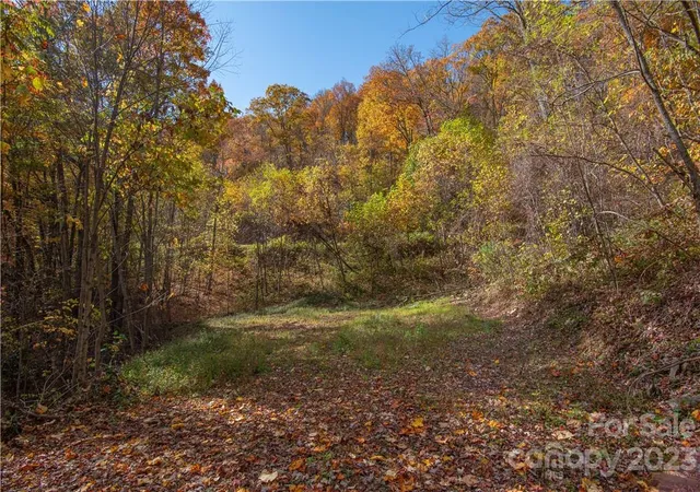 4th image of Tract 3 Sigogglin Trl, Waynesville, NC 28785 | MLS# 3675237