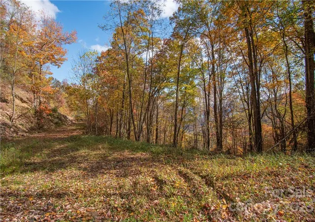 5th image of Tract 3 Sigogglin Trl, Waynesville, NC 28785 | MLS# 3675237