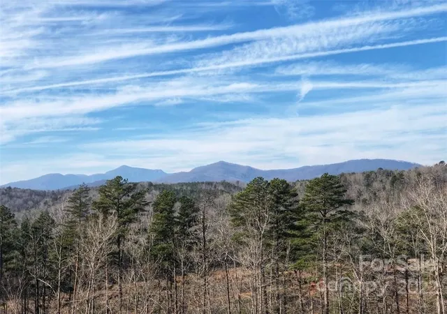 1st image of 0 Hardin Store Rd, Rutherfordton, NC 28139 | MLS# 3694748