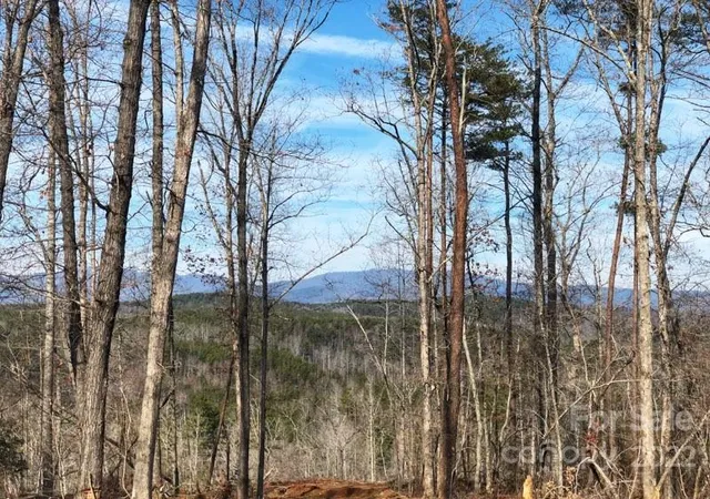 3rd image of 0 Hardin Store Rd, Rutherfordton, NC 28139 | MLS# 3694748