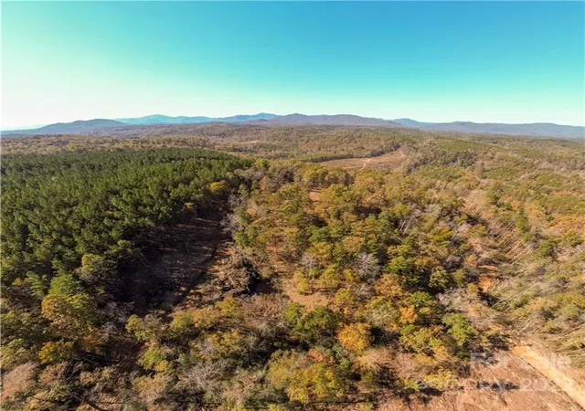 4th image of 0 Hardin Store Rd, Rutherfordton, NC 28139 | MLS# 3694748