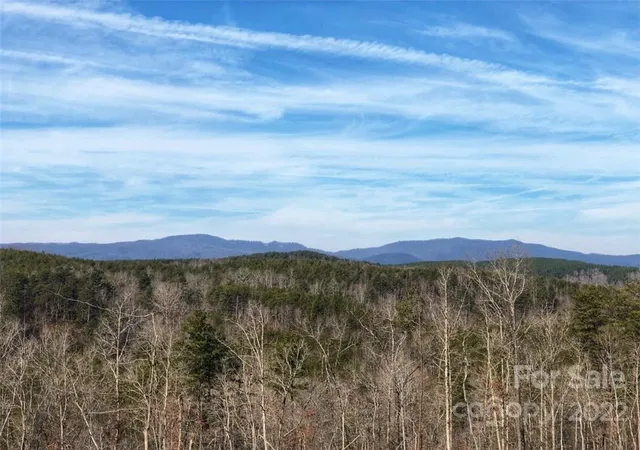 5th image of 0 Hardin Store Rd, Rutherfordton, NC 28139 | MLS# 3694748