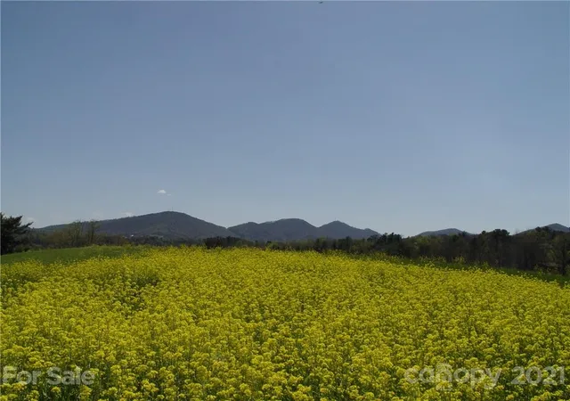 Photo 3 of Sale Pending at 1293 Bear Creek Rd, Leicester, NC 28748 | MLS# 3734699 | Listing updated on 2026-05-07