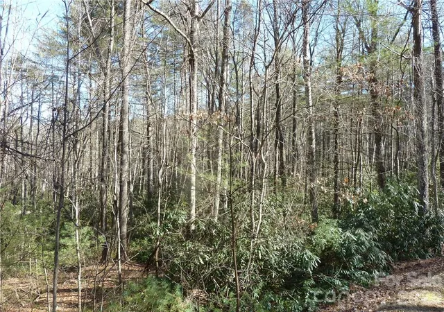2nd image of 30 Abby Falls Dr #30, Rosman, NC 28772 | MLS# 3748508