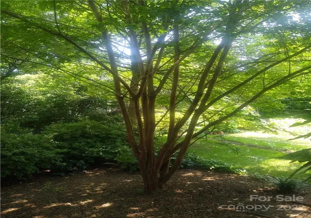 Photo 1 of Land for sale at 3397 Camp Julia Rd, Kannapolis, NC 28083 | MLS# 3758469 | Listing updated on 2026-04-15