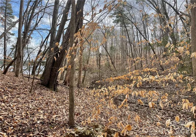 Photo 3 of Land for sale at Lot 91 Tidewater Ct #91, Norwood, NC 28128 | MLS# 3798377 | Listing updated on 2026-10-12