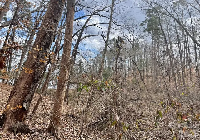Photo 3 of Land for sale at Lot 91 Tidewater Ct #91, Norwood, NC 28128 | MLS# 3798377 | Listing updated on 2026-10-12