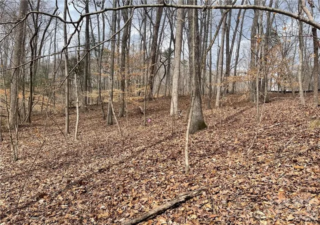 Photo 4 of Land for sale at Lot 91 Tidewater Ct #91, Norwood, NC 28128 | MLS# 3798377 | Listing updated on 2026-10-12