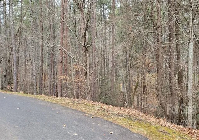 Homes for sale in Mars Hill, NC | 35 Settlers Trl #35, Mars Hill, NC 28754 | MLS# 3818995