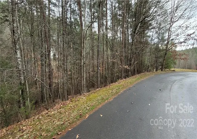 Homes for sale in Mars Hill, NC | 35 Settlers Trl #35, Mars Hill, NC 28754 | MLS# 3818995