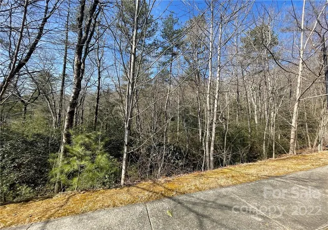 Photo 4 of Land for sale at Sh11 Springhouse Trl, Brevard, NC 28712 | MLS# 3830171 | Listing updated on 2026-08-17