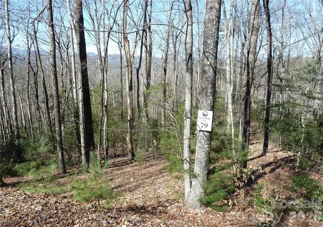 Photo 1 of Land for sale at 79 Peppervine Cir #L79, Brevard, NC 28712 | MLS# 3857895 | Listing updated on 2026-08-01