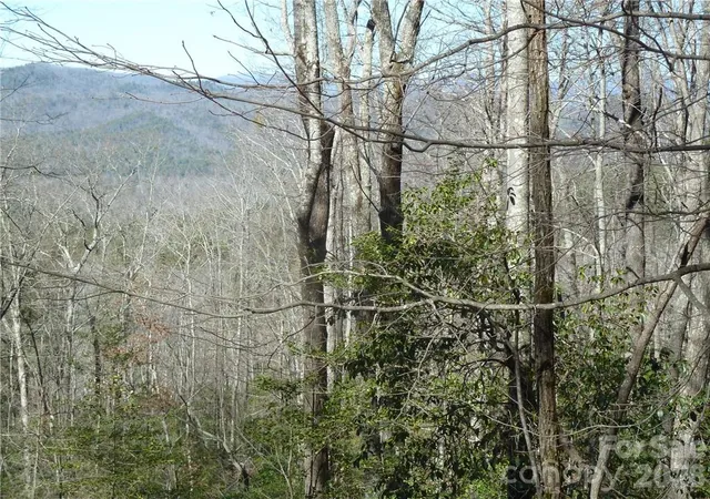 Photo 3 of Land for sale at 79 Peppervine Cir #L79, Brevard, NC 28712 | MLS# 3857895 | Listing updated on 2026-08-01