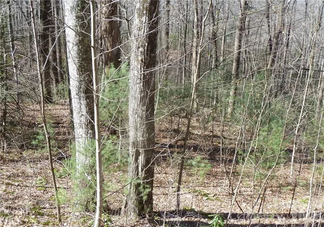 Photo 4 of Land for sale at 79 Peppervine Cir #L79, Brevard, NC 28712 | MLS# 3857895 | Listing updated on 2026-08-01