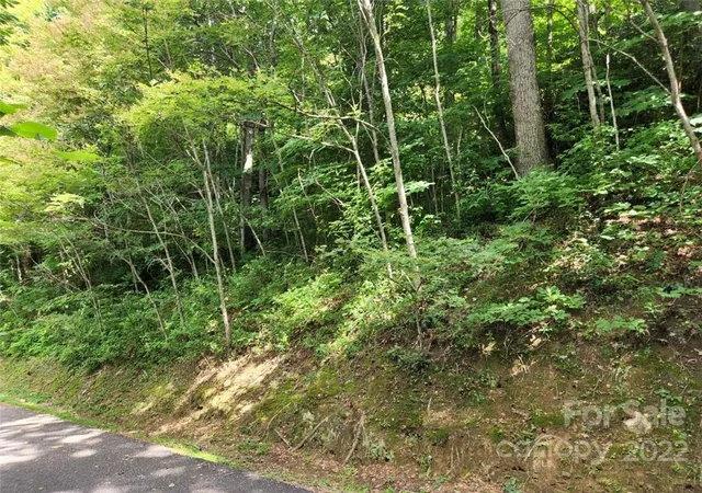 Photo 4 of Land for sale at 00 Heavenview Pt #120, Maggie Valley, NC 28751 | MLS# 3893710 | Listing updated on 2026-08-15