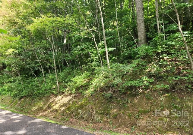 Photo 5 of Land for sale at 00 Heavenview Pt #120, Maggie Valley, NC 28751 | MLS# 3893710 | Listing updated on 2026-08-15