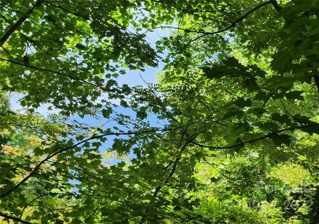 Photo 6 of Land for sale at 00 Heavenview Pt #120, Maggie Valley, NC 28751 | MLS# 3893710 | Listing updated on 2026-08-15