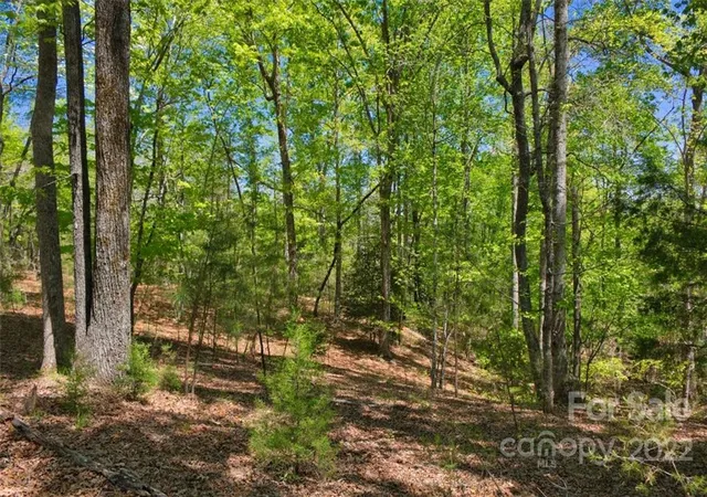 2nd image of 0 Hearthstone Dr #73, Union Mills, NC 28167 | MLS# 3897252