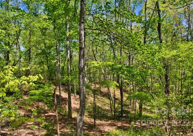 3rd image of 0 Hearthstone Dr #73, Union Mills, NC 28167 | MLS# 3897252