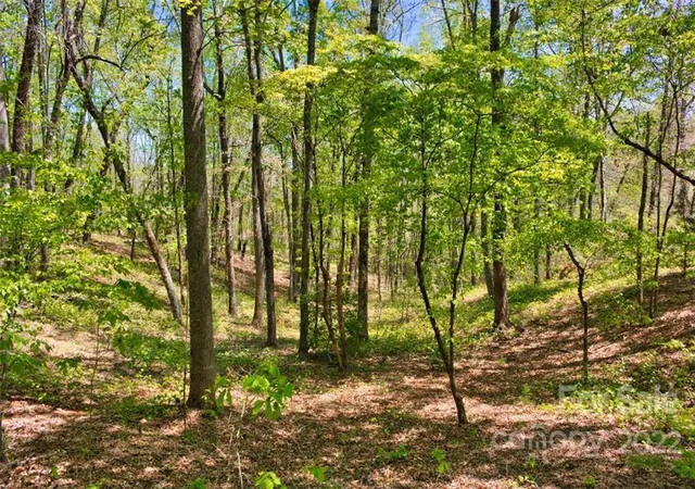 4th image of 0 Hearthstone Dr #73, Union Mills, NC 28167 | MLS# 3897252