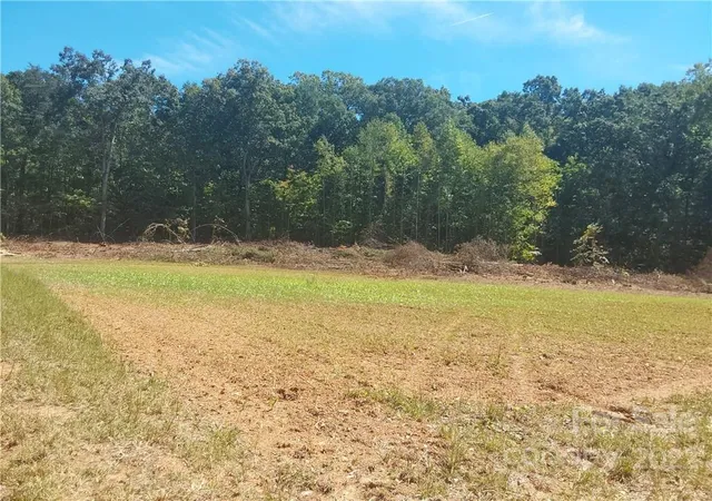Homes for sale in Cherryville, NC | 00 Requa Rd, Cherryville, NC 28021 | MLS# 3905122