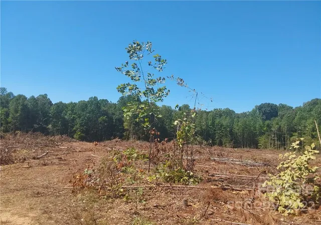 Homes for sale in Cherryville, NC | 00 Requa Rd, Cherryville, NC 28021 | MLS# 3905122