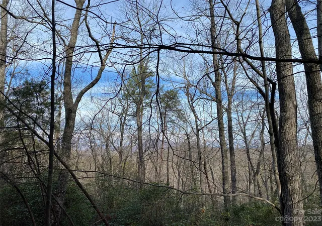 1st image of 0 Birddog Blvd, Lake Lure, NC 28746 | MLS# 3908602