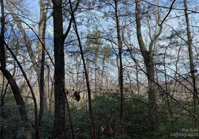 2nd image of 0 Birddog Blvd, Lake Lure, NC 28746 | MLS# 3908602